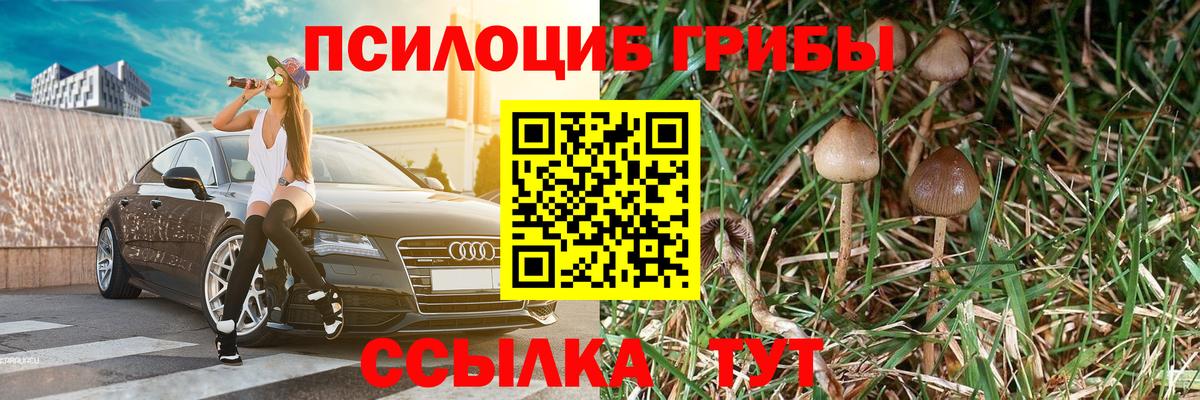 Галлюциногенные грибы Cubensis Красногорск