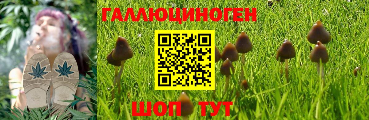 Красногорск  Галлюциногенные грибы Magic Shrooms  Вход с VPN  Псилоцибиновые грибы Magic Shrooms 
